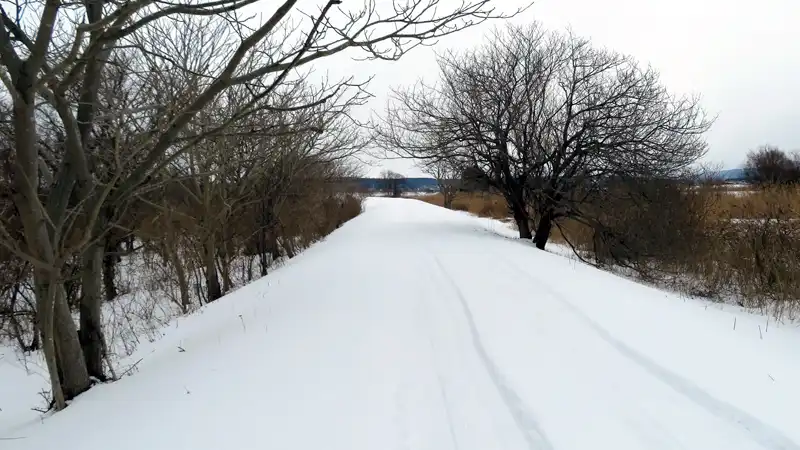 不精の極み！ファットバイクのタイヤを雪道ライドでクリーニングイメージ10