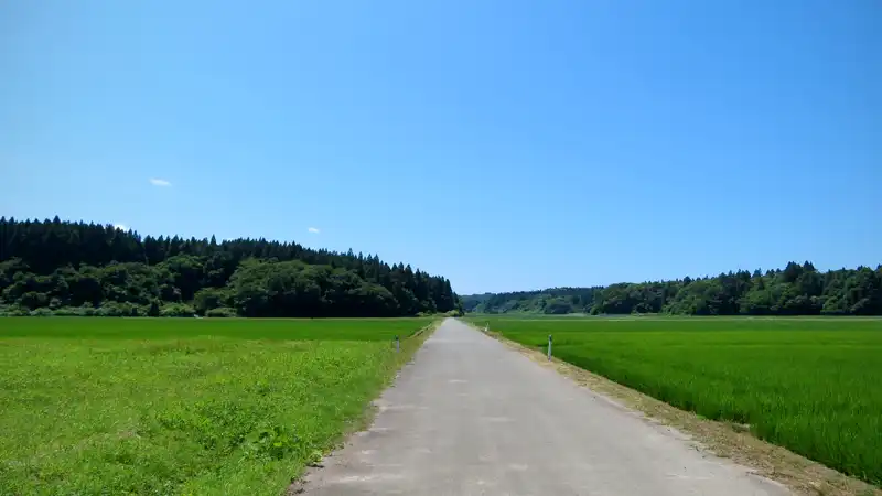 青空と万緑の季節、グラベルロードで真夏の探鳥ライドイメージ04