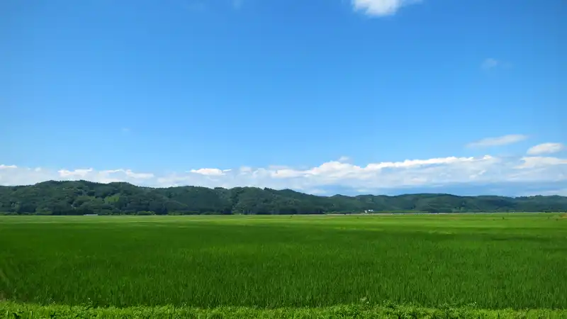 青空と万緑の季節、グラベルロードで真夏の探鳥ライドイメージ06