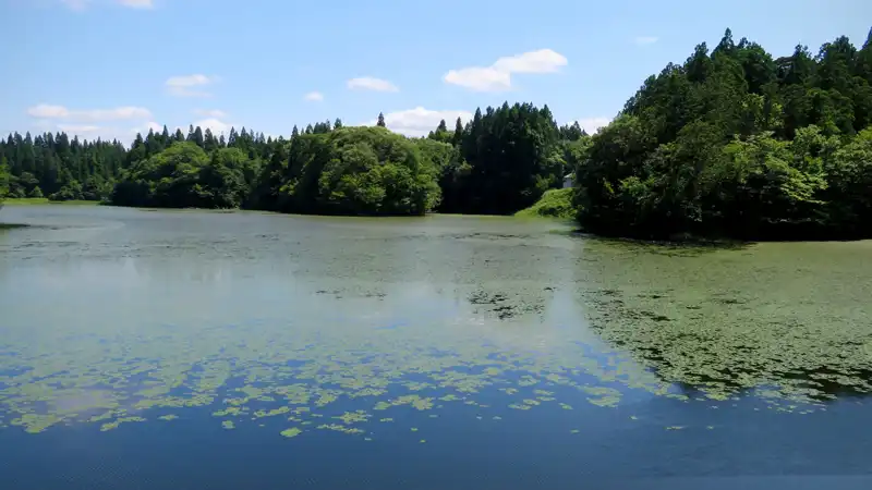 青空と万緑の季節、グラベルロードで真夏の探鳥ライドイメージ07