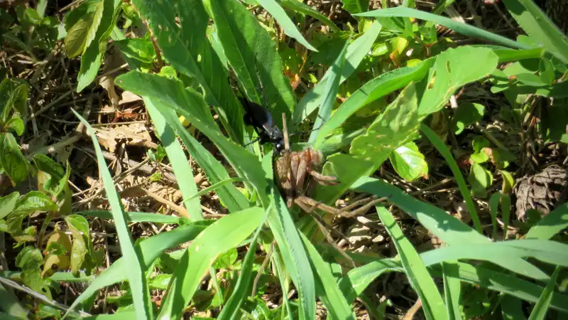 青空と万緑の季節、グラベルロードで真夏の探鳥ライドイメージ11