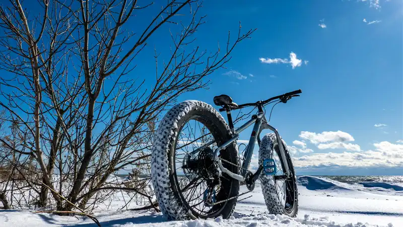 20インチと27.5インチが充実！新顔『ファットバイク用タイヤ』備忘録イメージ01