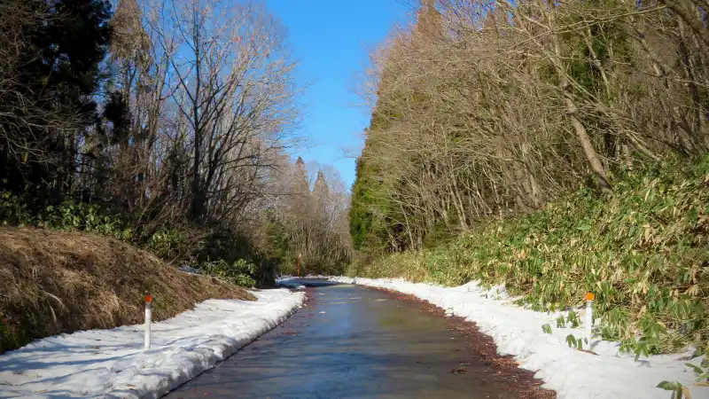 冬去りぬ…ファットバイクで早春のリハビリライドへ出走イメージ11