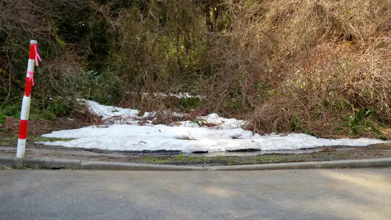 耐パンク版『グラベルキングプラス』の雑感と春霞の海辺ライドイメージ06