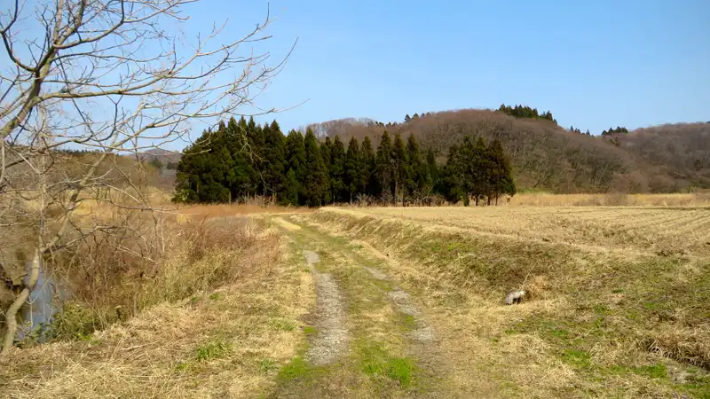耐パンク版『グラベルキングプラス』の雑感と春霞の海辺ライドイメージ08