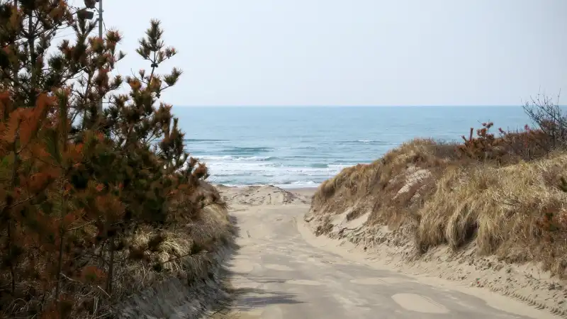 耐パンク版『グラベルキングプラス』の雑感と春霞の海辺ライドイメージ12