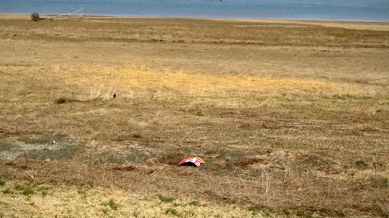 耐パンク版『グラベルキングプラス』の雑感と春霞の海辺ライドイメージ20