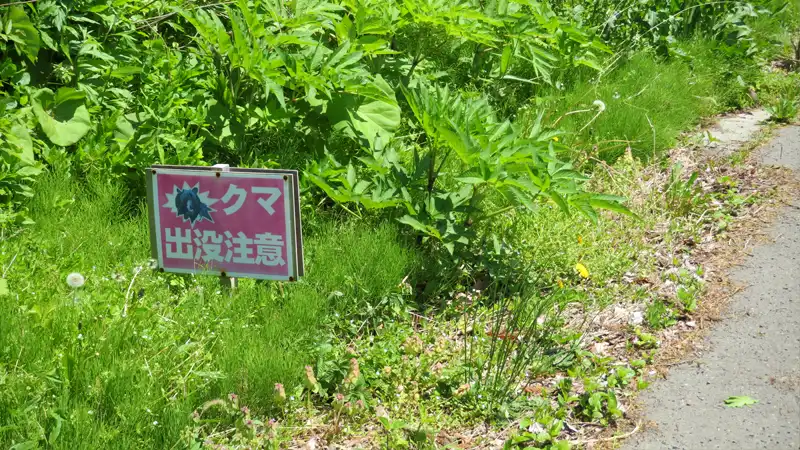 ライド中はナビを見ない主義!道に迷いつつパチモノ城に再来訪イメージ08